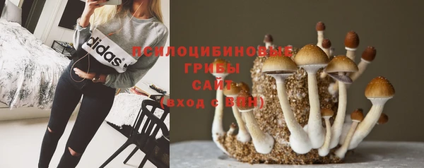 скорость Бронницы