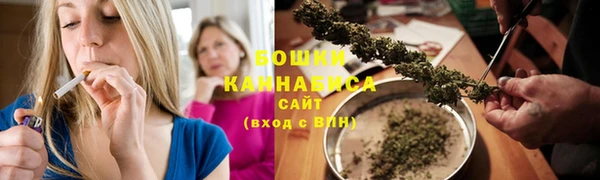 тгк Богородицк