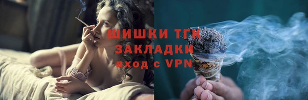 a pvp Бородино