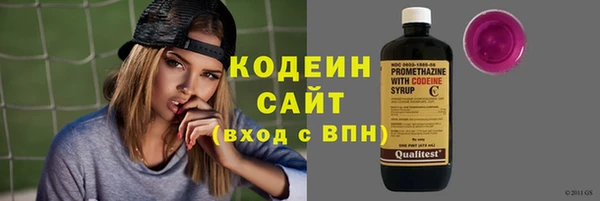 a pvp Бородино