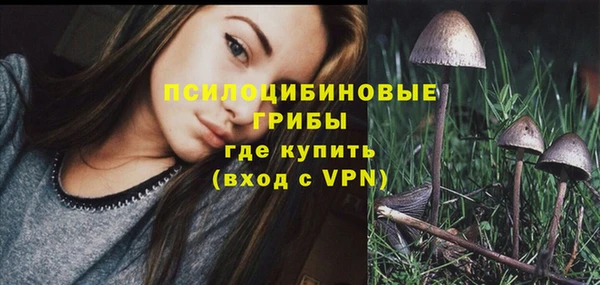 PSILOCYBIN Бугульма