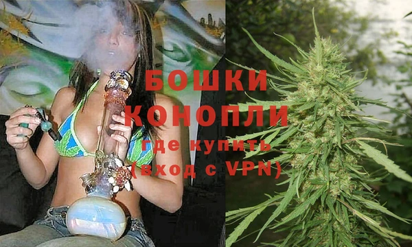 PSILOCYBIN Бугульма