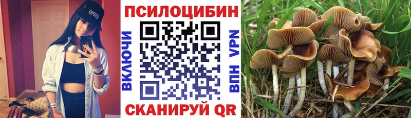 Галлюциногенные грибы мухоморы  где купить наркоту  Гурьевск 